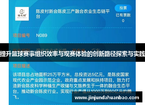 提升篮球赛事组织效率与观赛体验的创新路径探索与实践