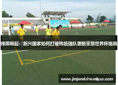 绿茵崛起:新兴国家如何打破传统强队垄断重塑世界杯格局 绿茵崛起:新兴国家如何打破传统强队垄断重塑世界杯格局