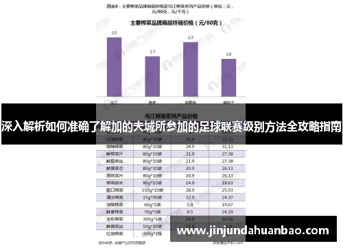 深入解析如何准确了解加的夫城所参加的足球联赛级别方法全攻略指南 深入解析如何准确了解加的夫城所参加的足球联赛级别方法全攻略指南