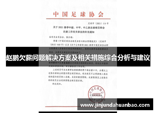 赵鹏欠薪问题解决方案及相关措施综合分析与建议 赵鹏欠薪问题解决方案及相关措施综合分析与建议